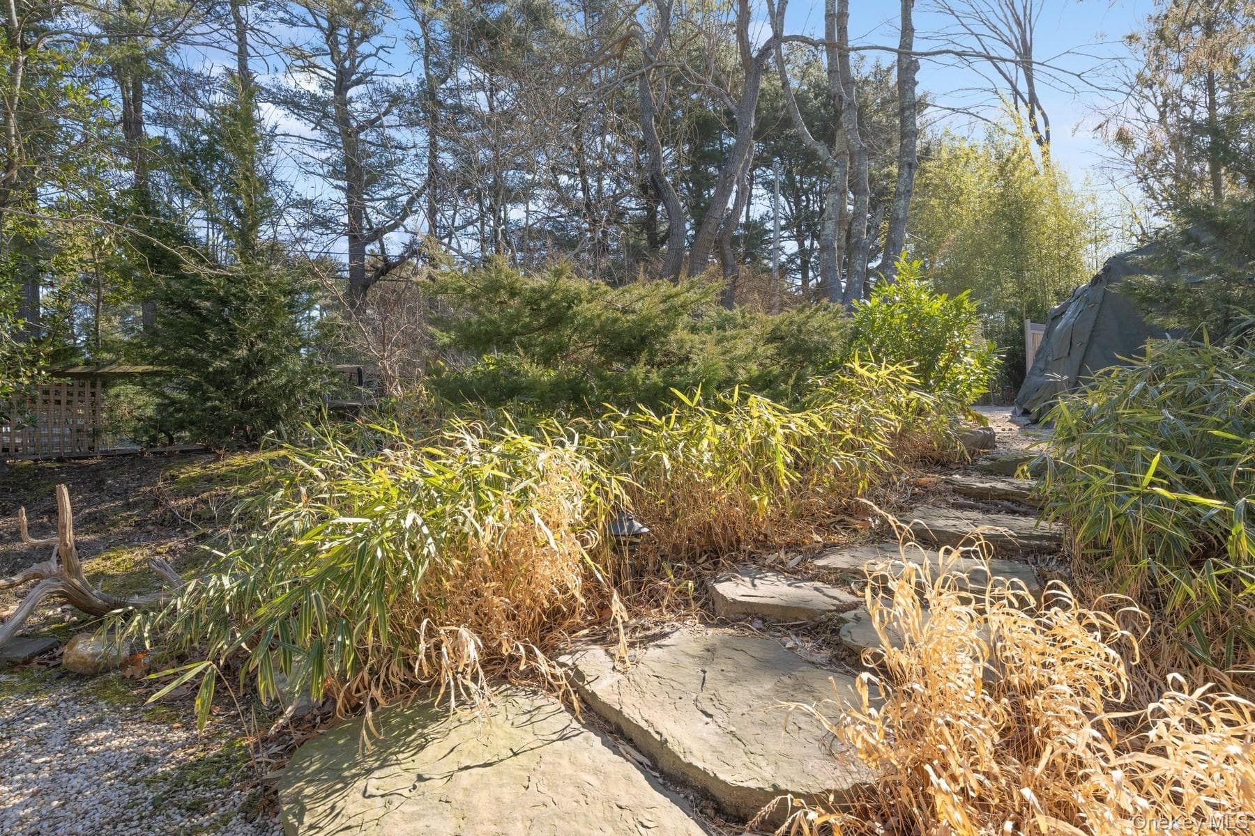 Yard