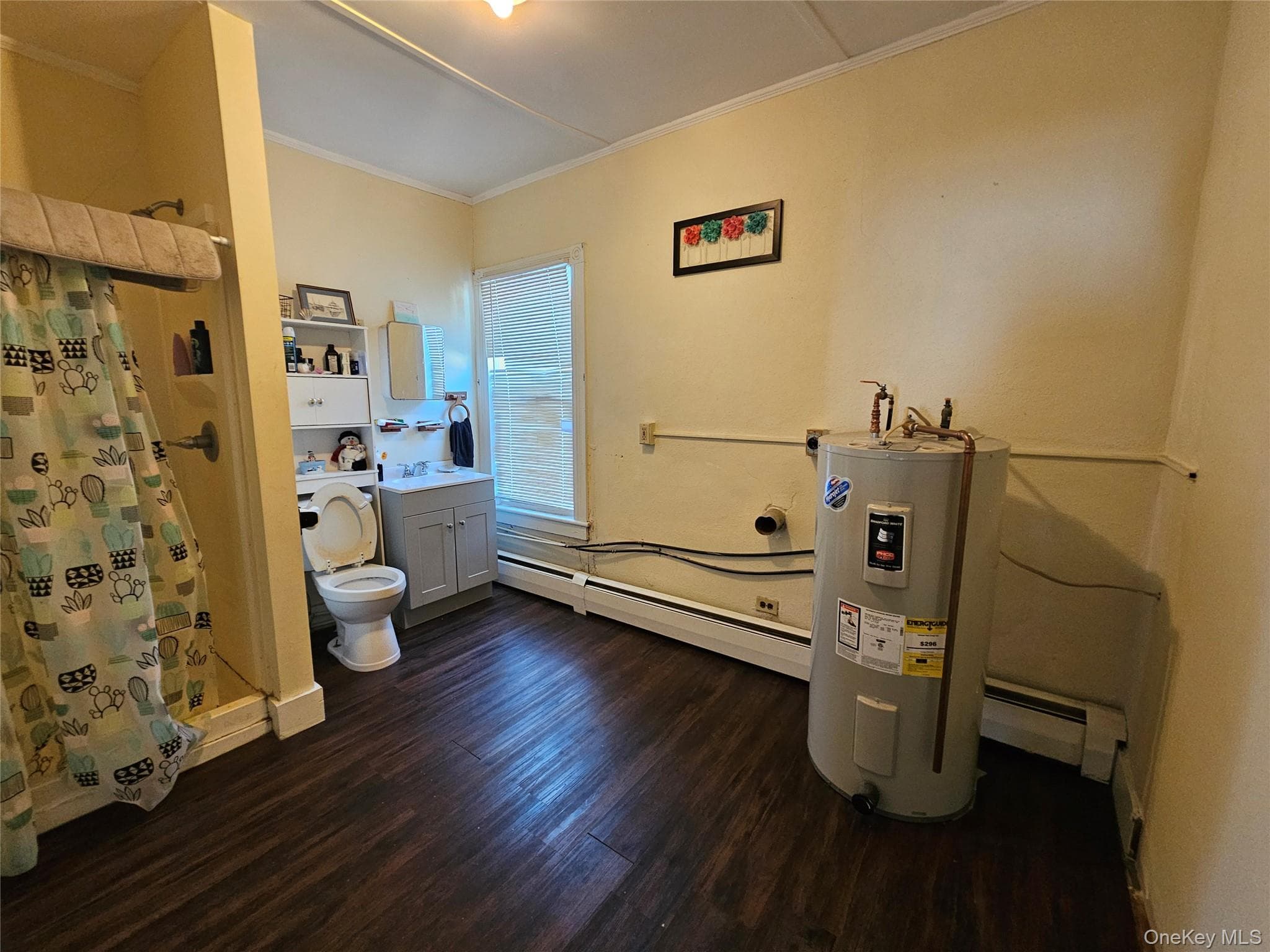 Photo 11