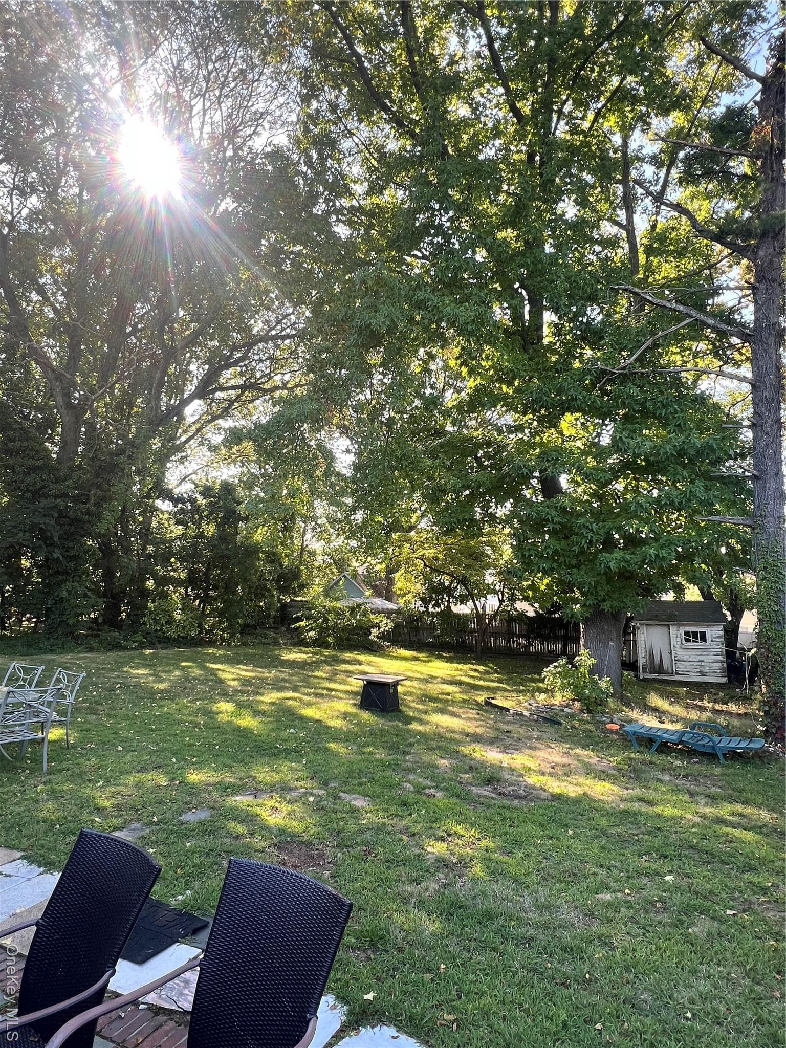 Yard