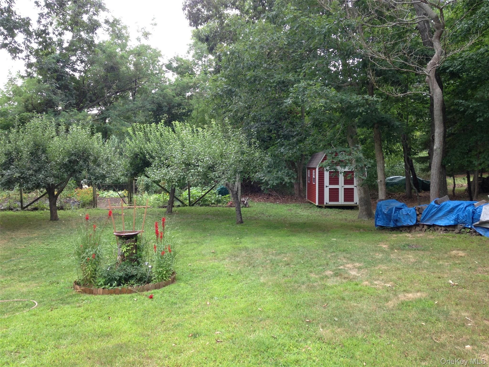 Photo 12