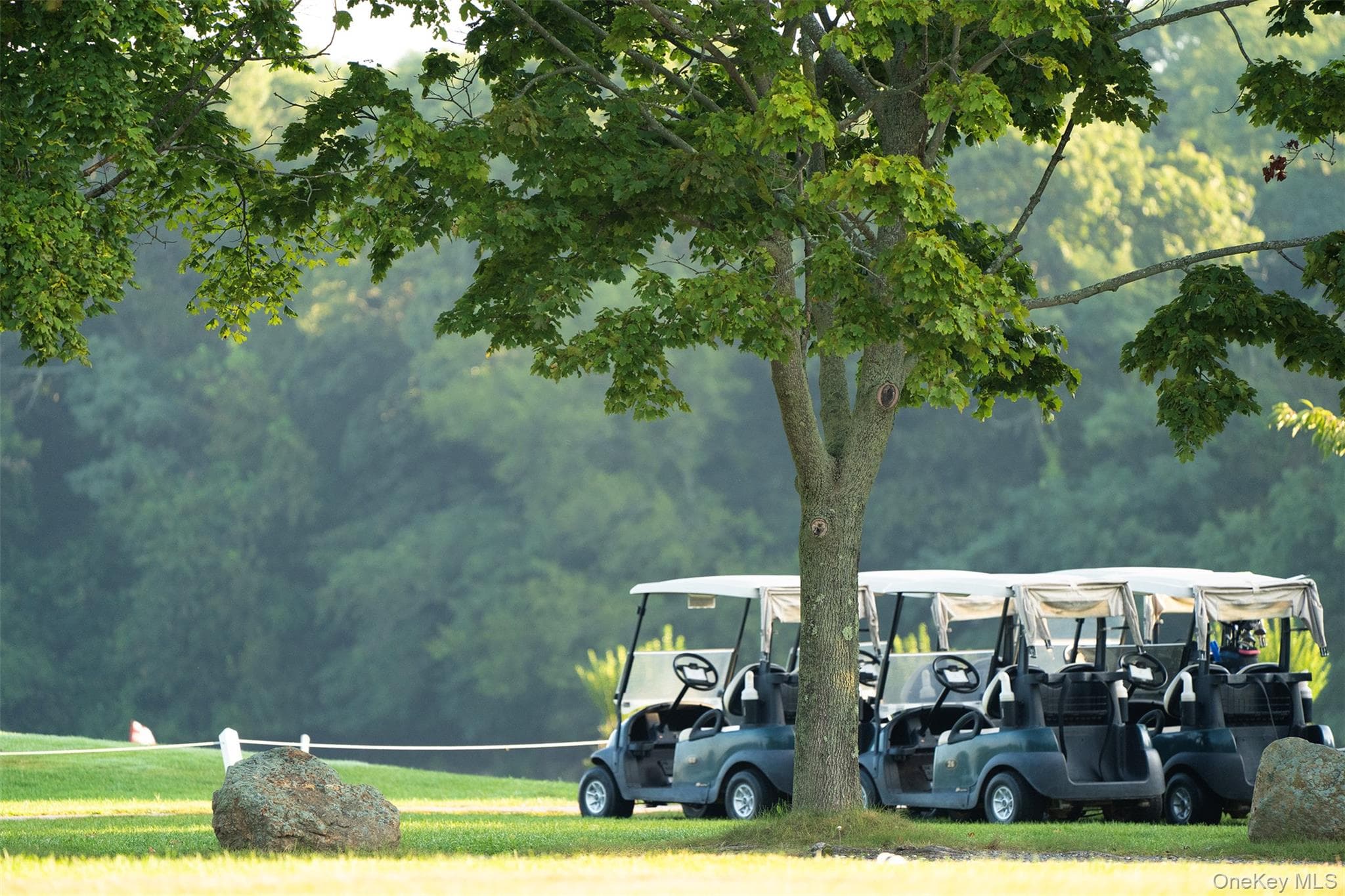 Golf Course