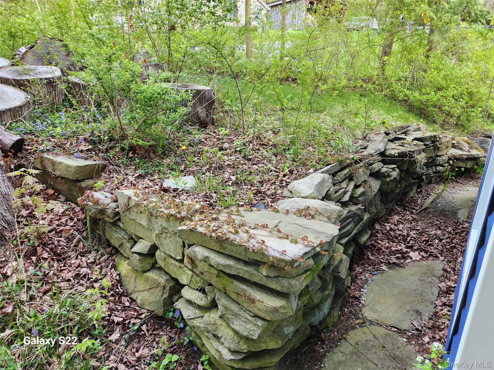 Photo 43