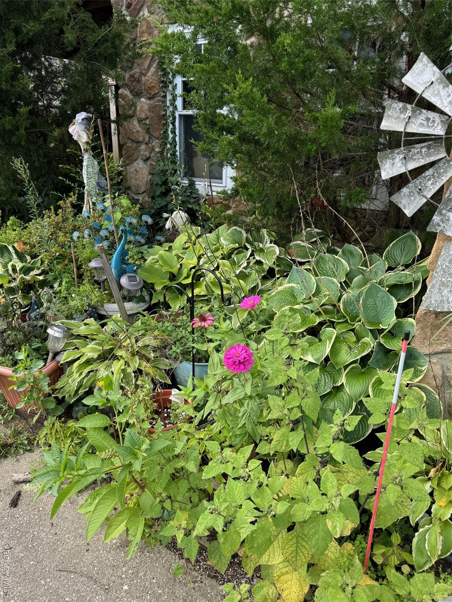 Photo 15
