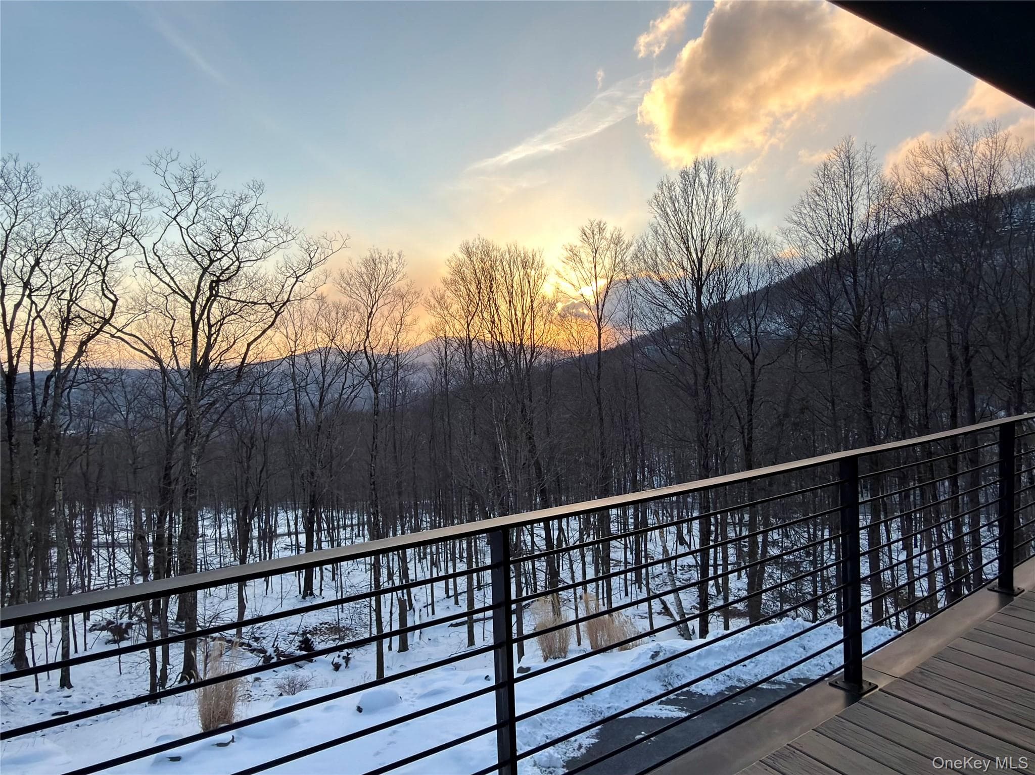 View