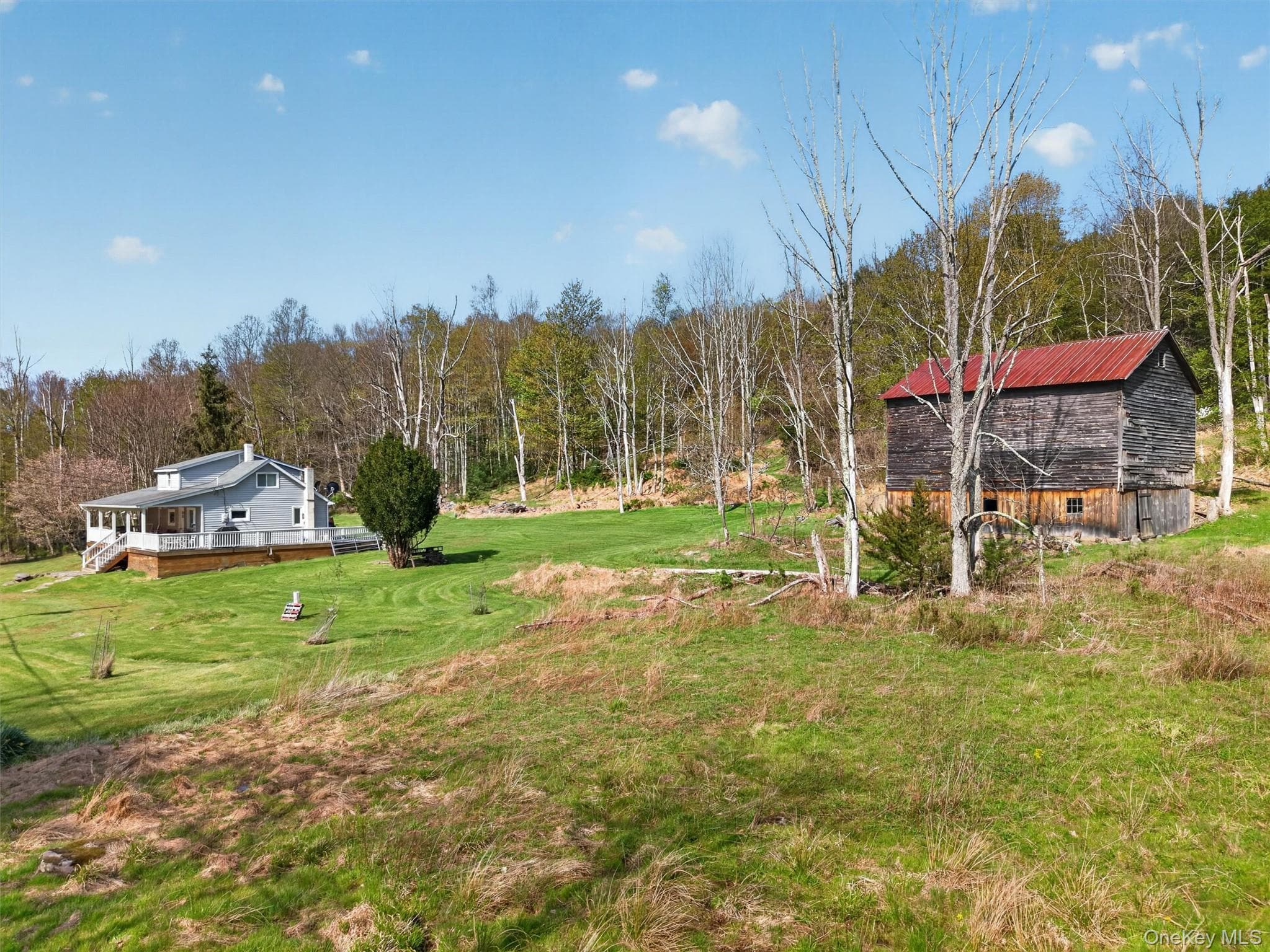 Yard