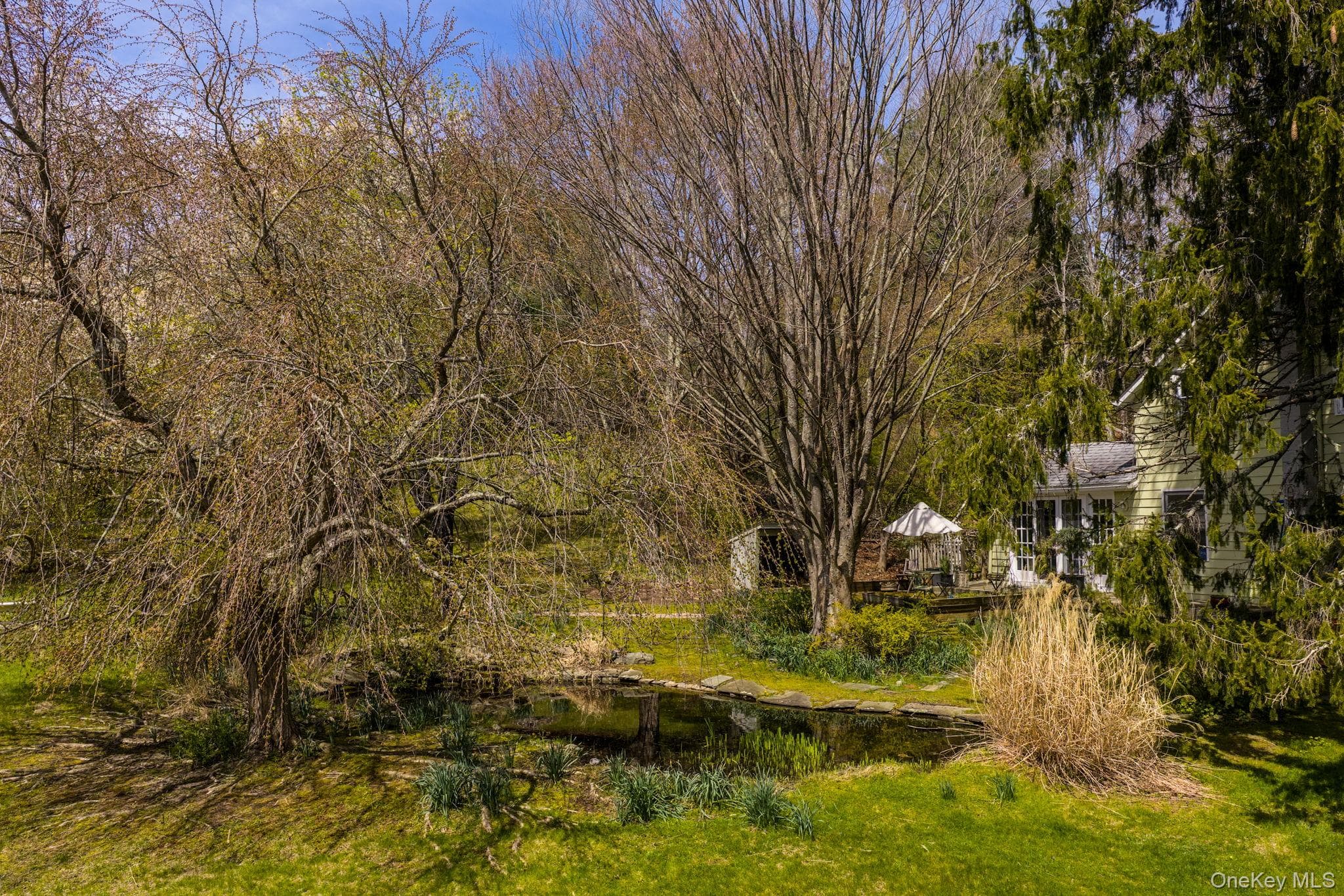 Pond