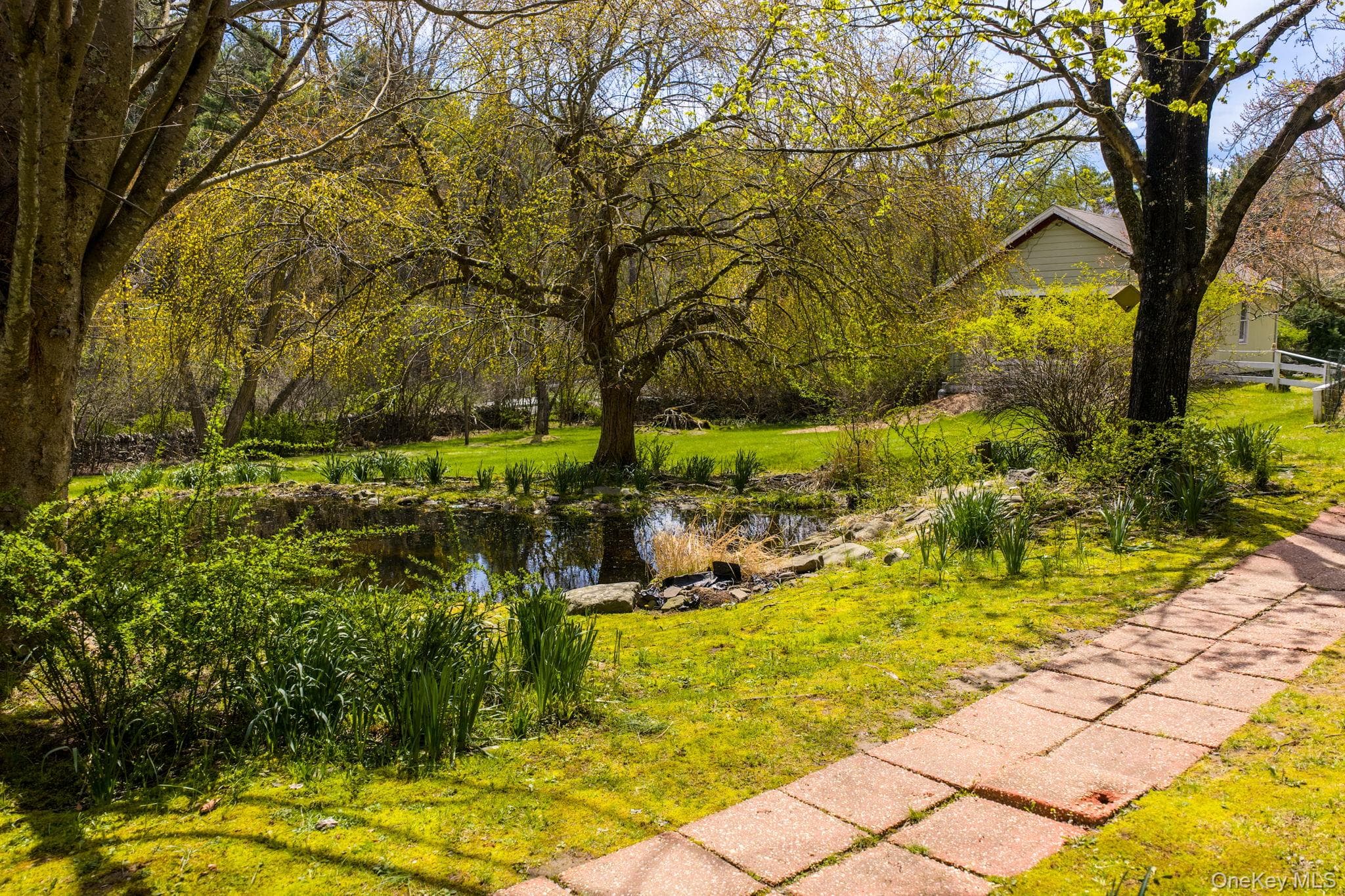 Pond