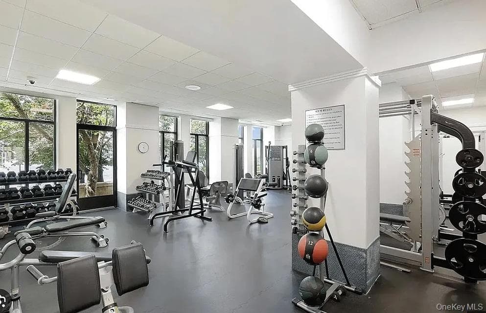 Gym