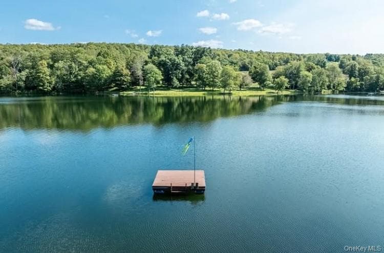 Dock