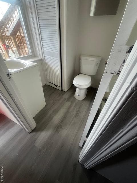 Photo 6