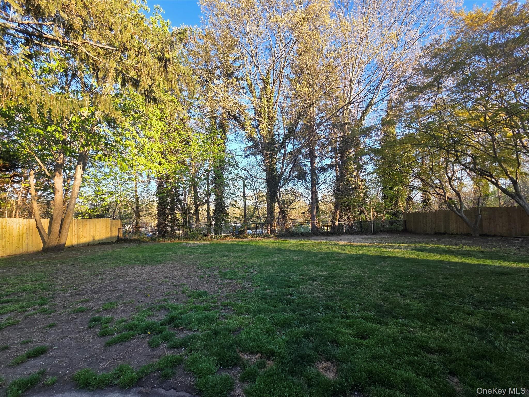 Yard