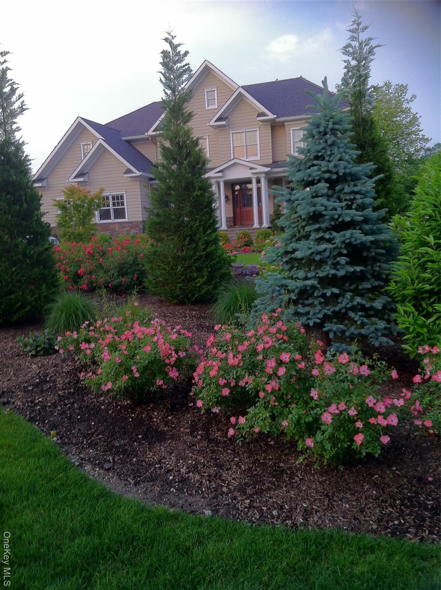 Photo 46