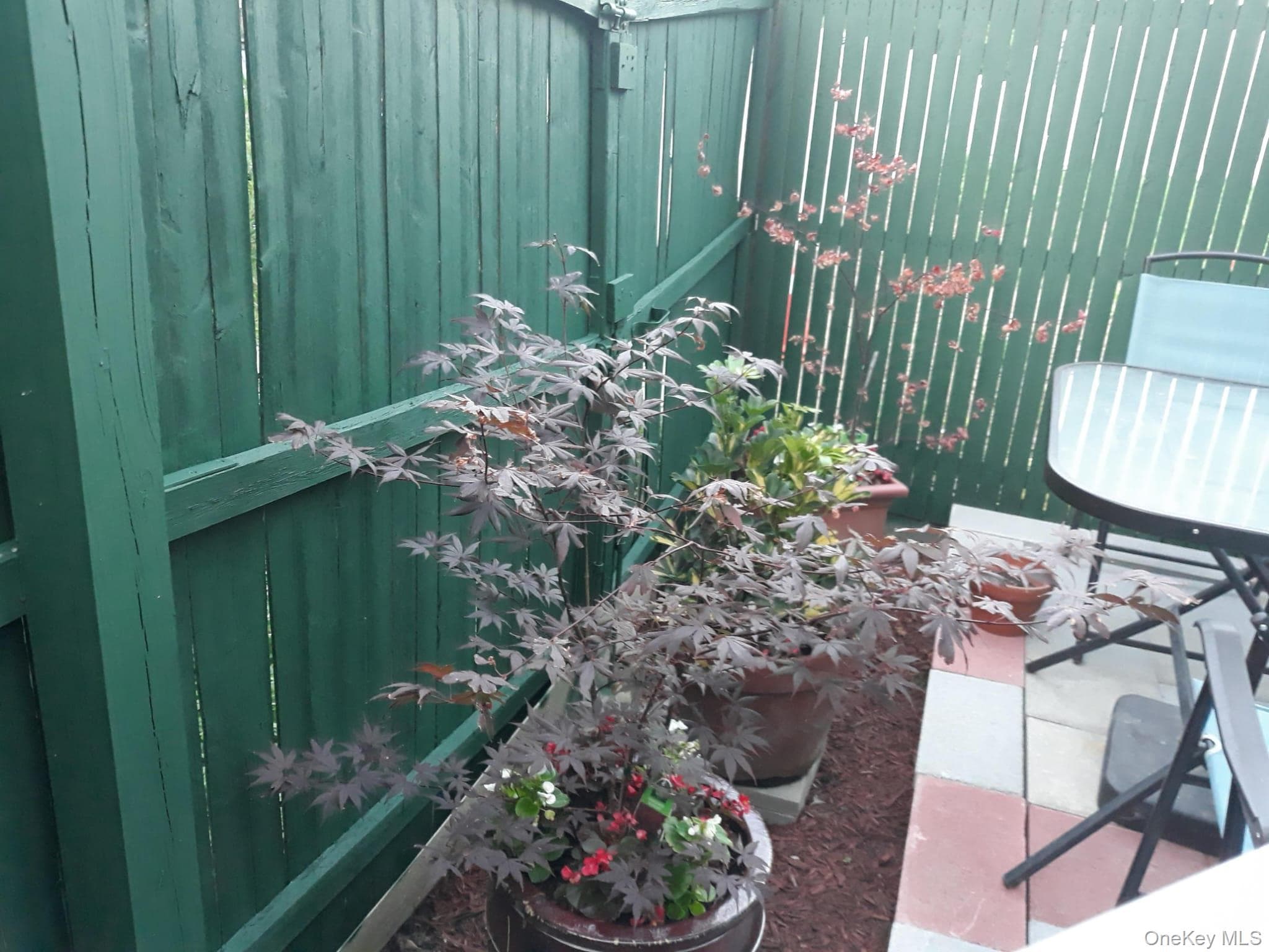 Photo 8