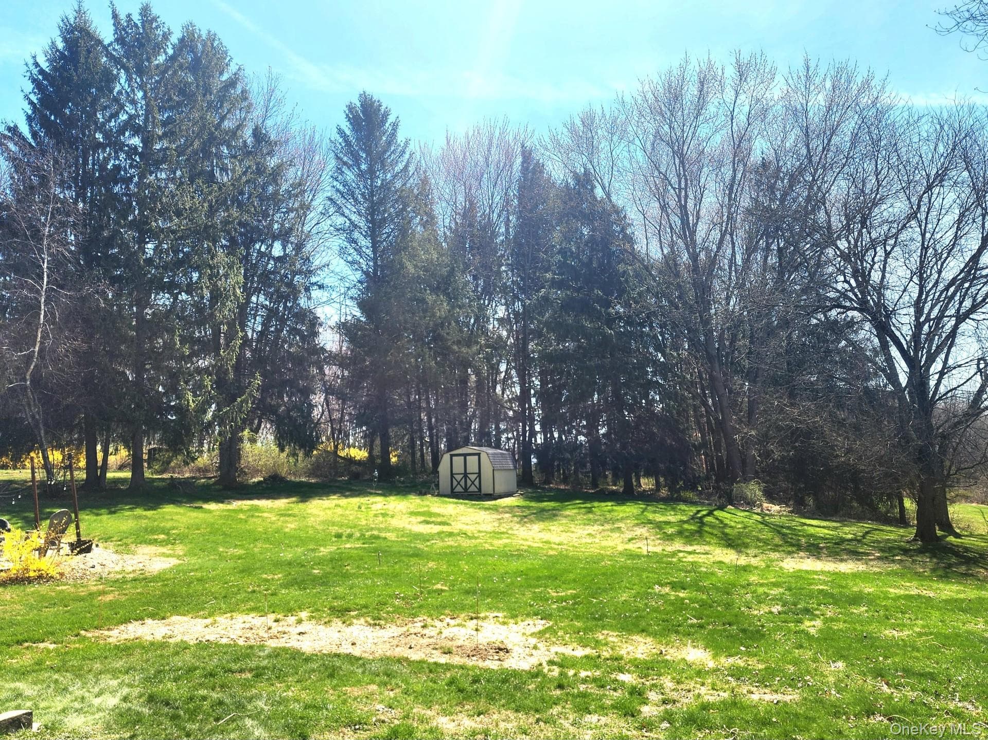 Yard