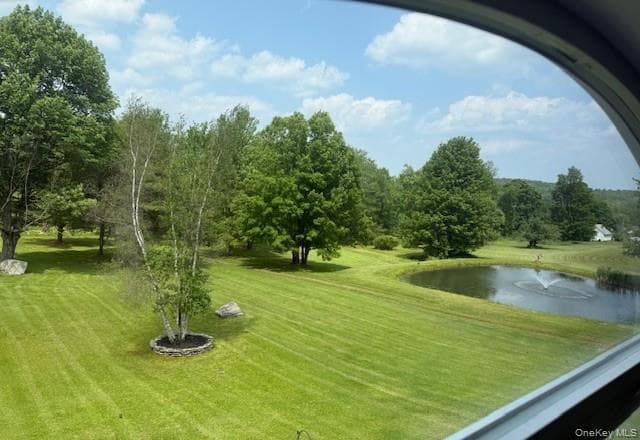 Pond