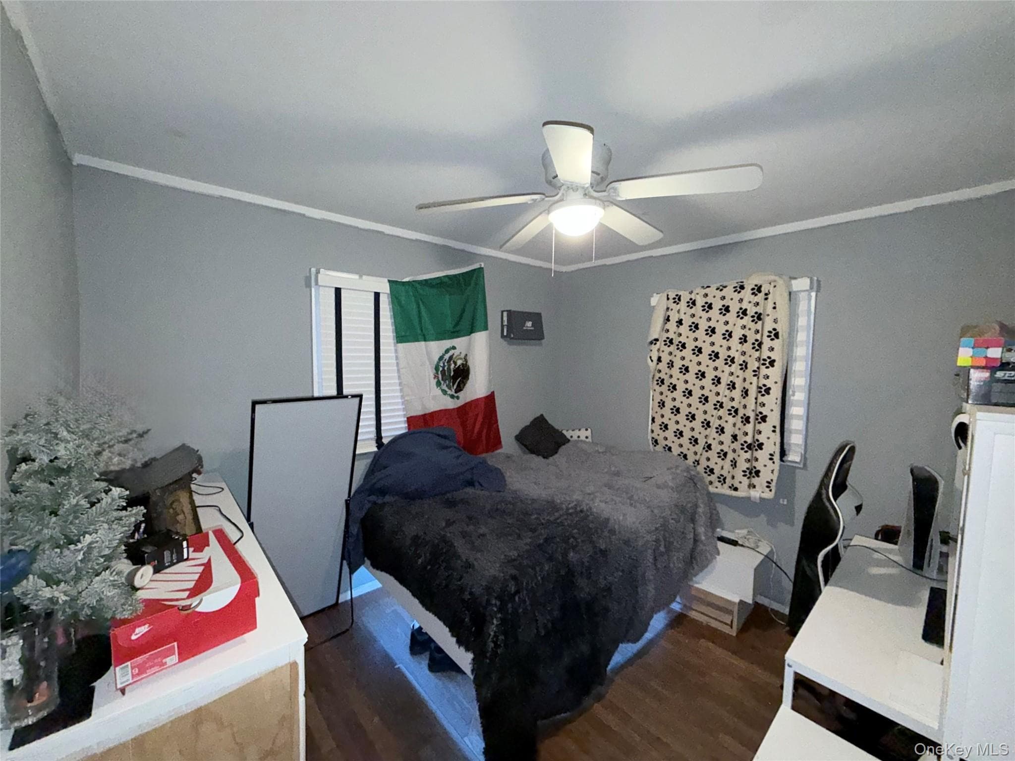 Photo 12