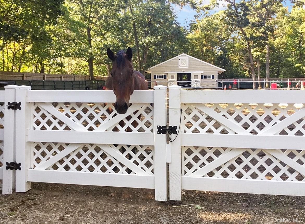Fence