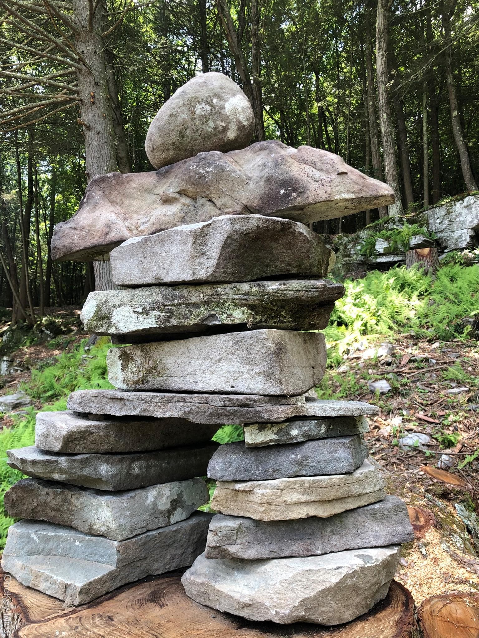 Photo 18