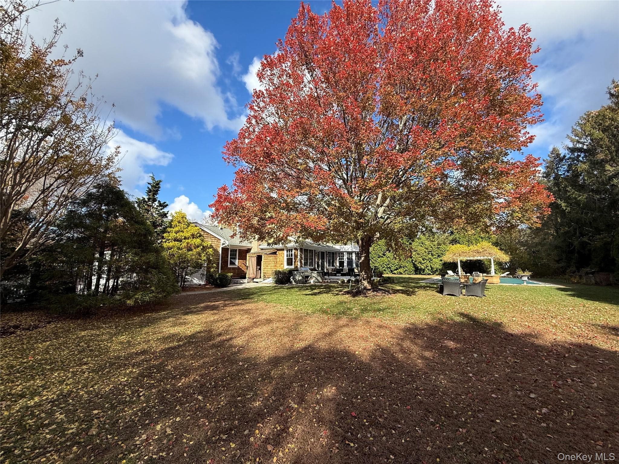 Yard