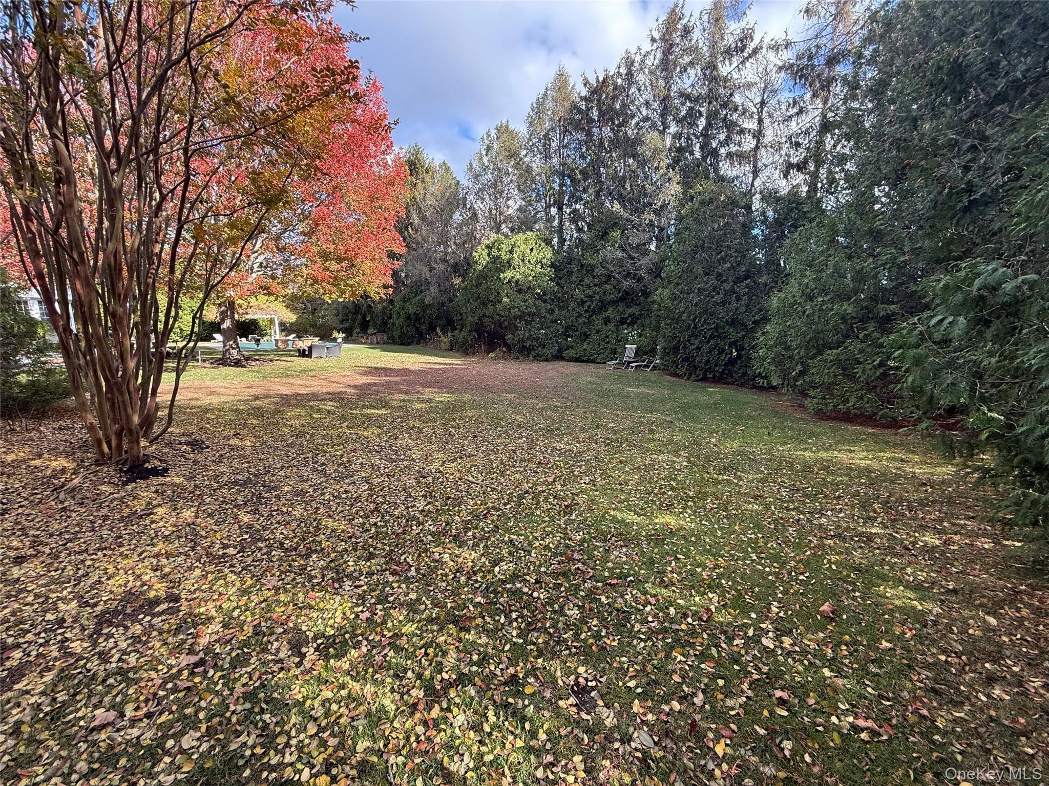 Yard