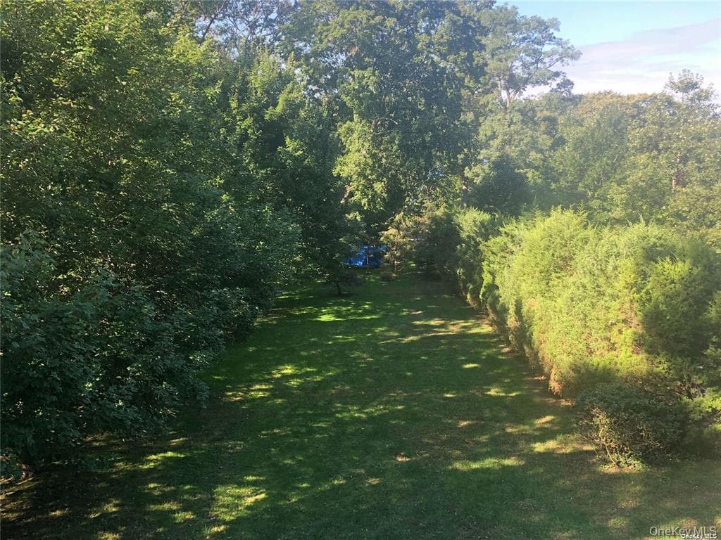 Yard