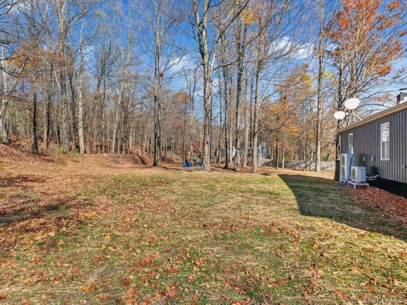 Back of Structure