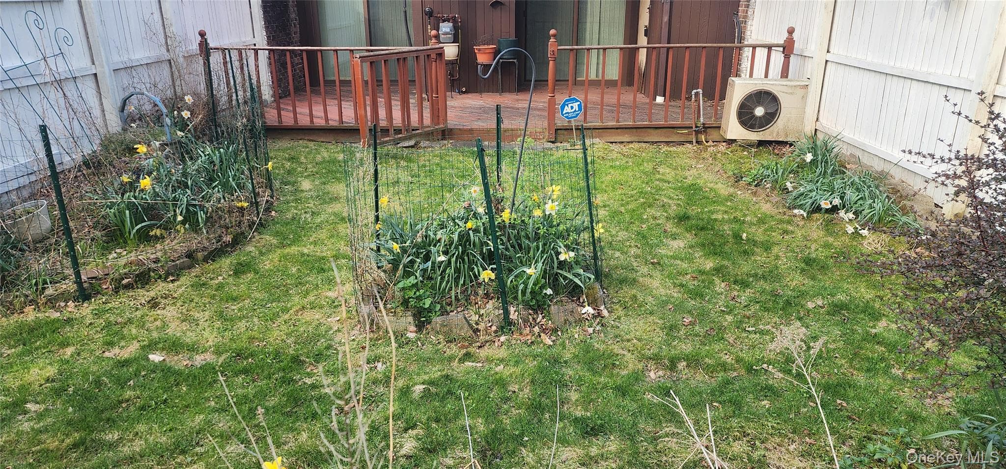 Photo 29
