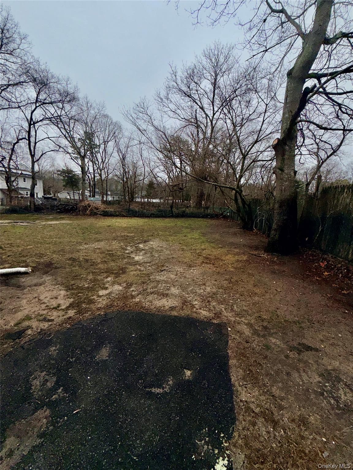 Yard