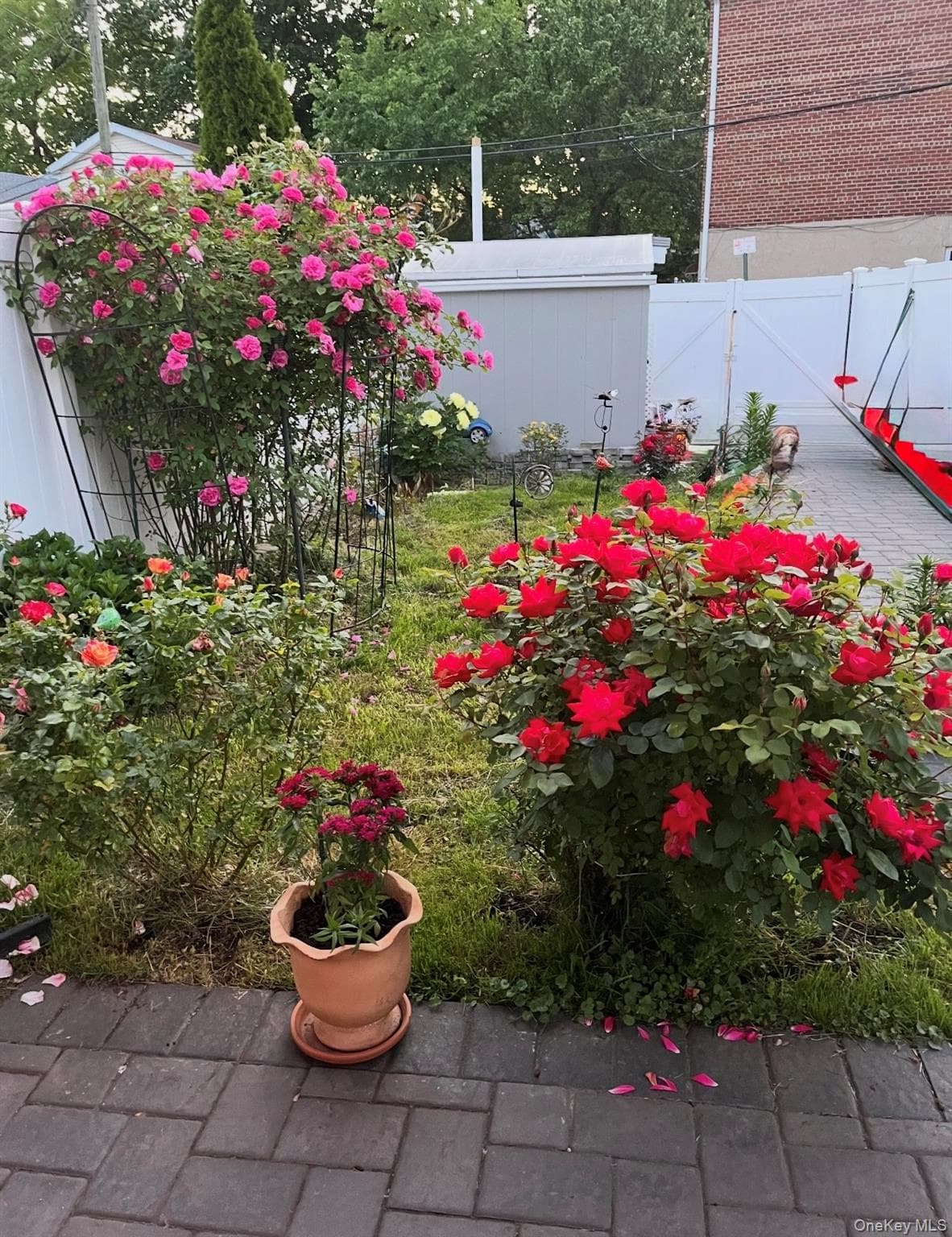 Photo 21