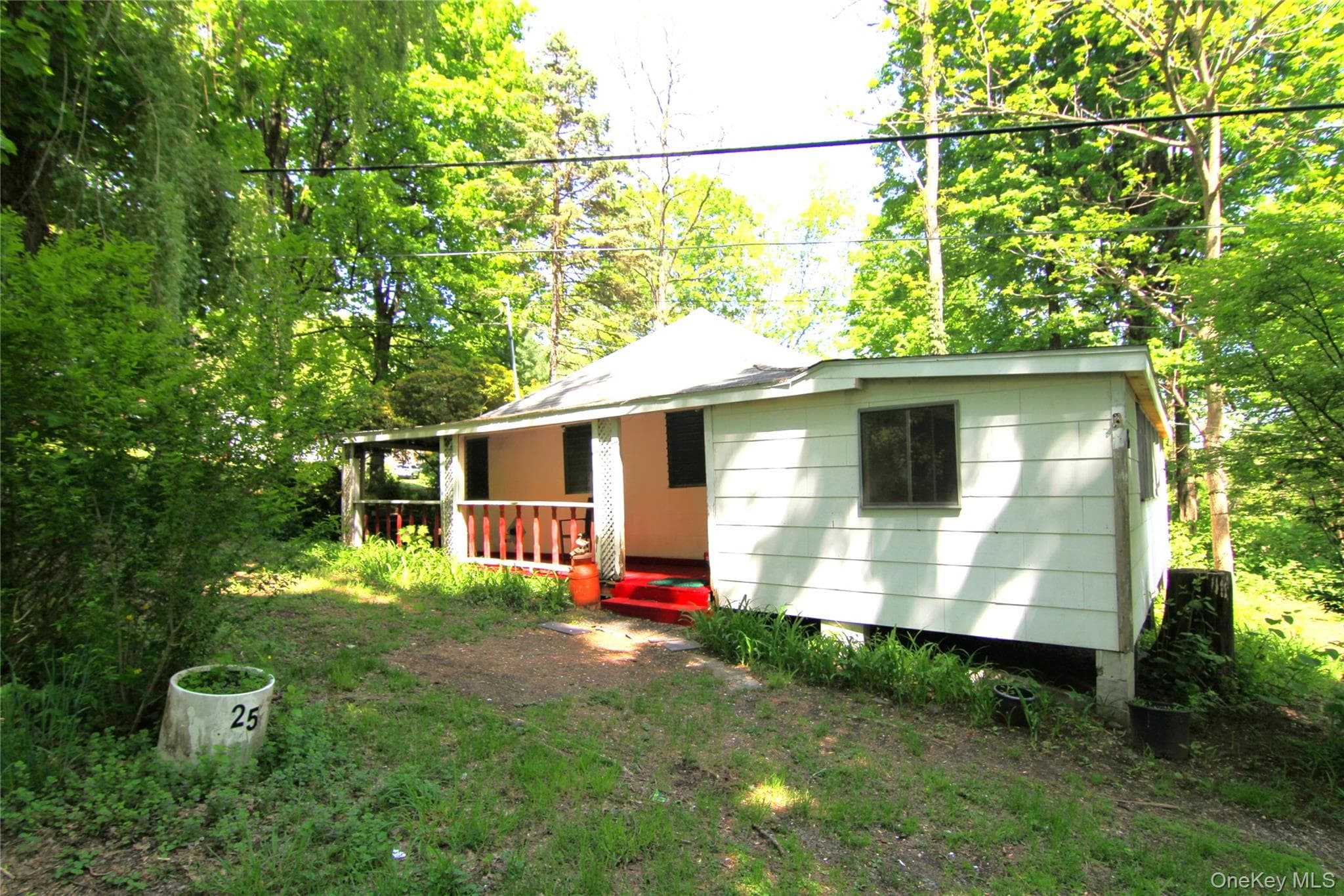 Back of Structure