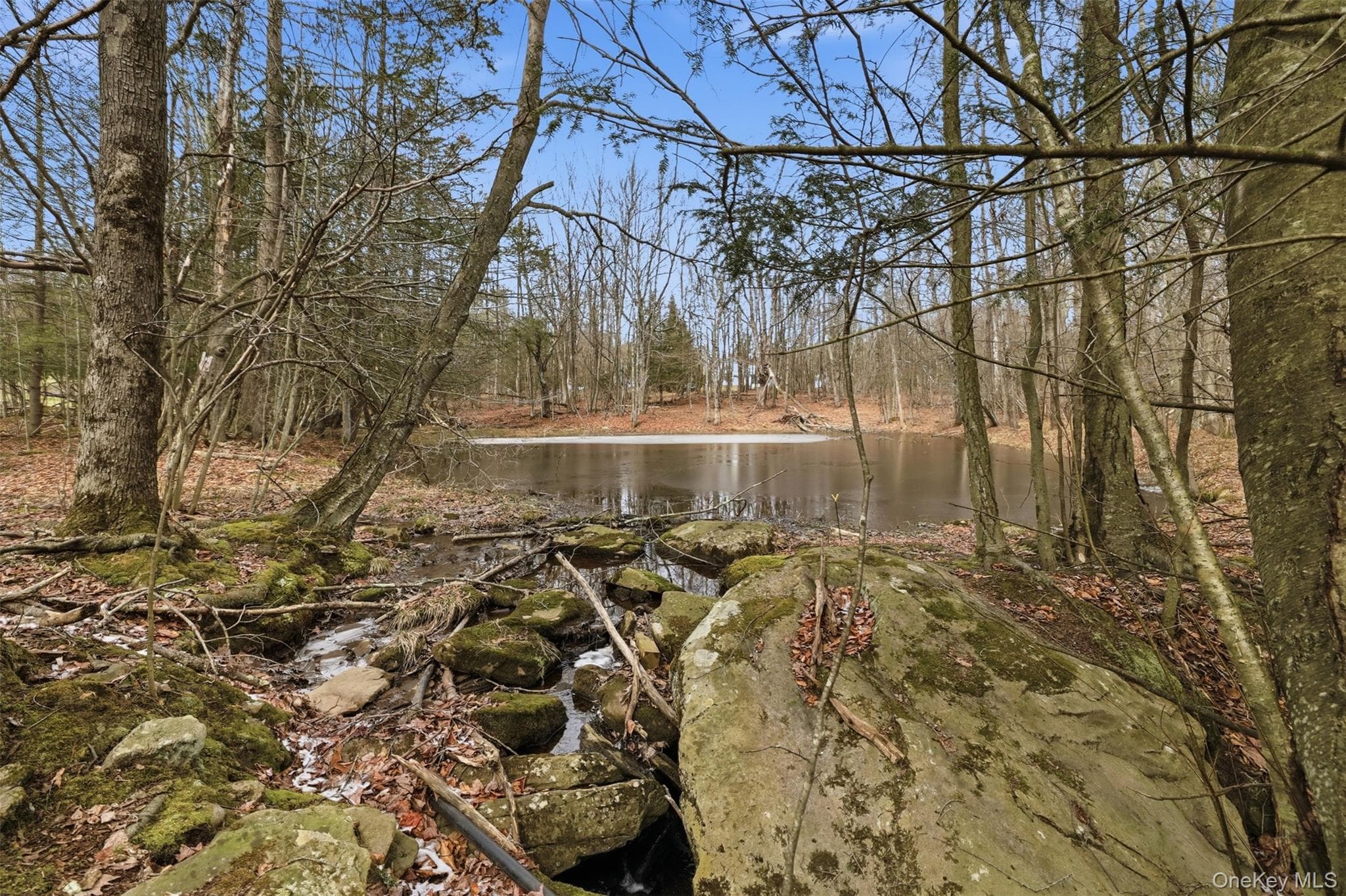Pond