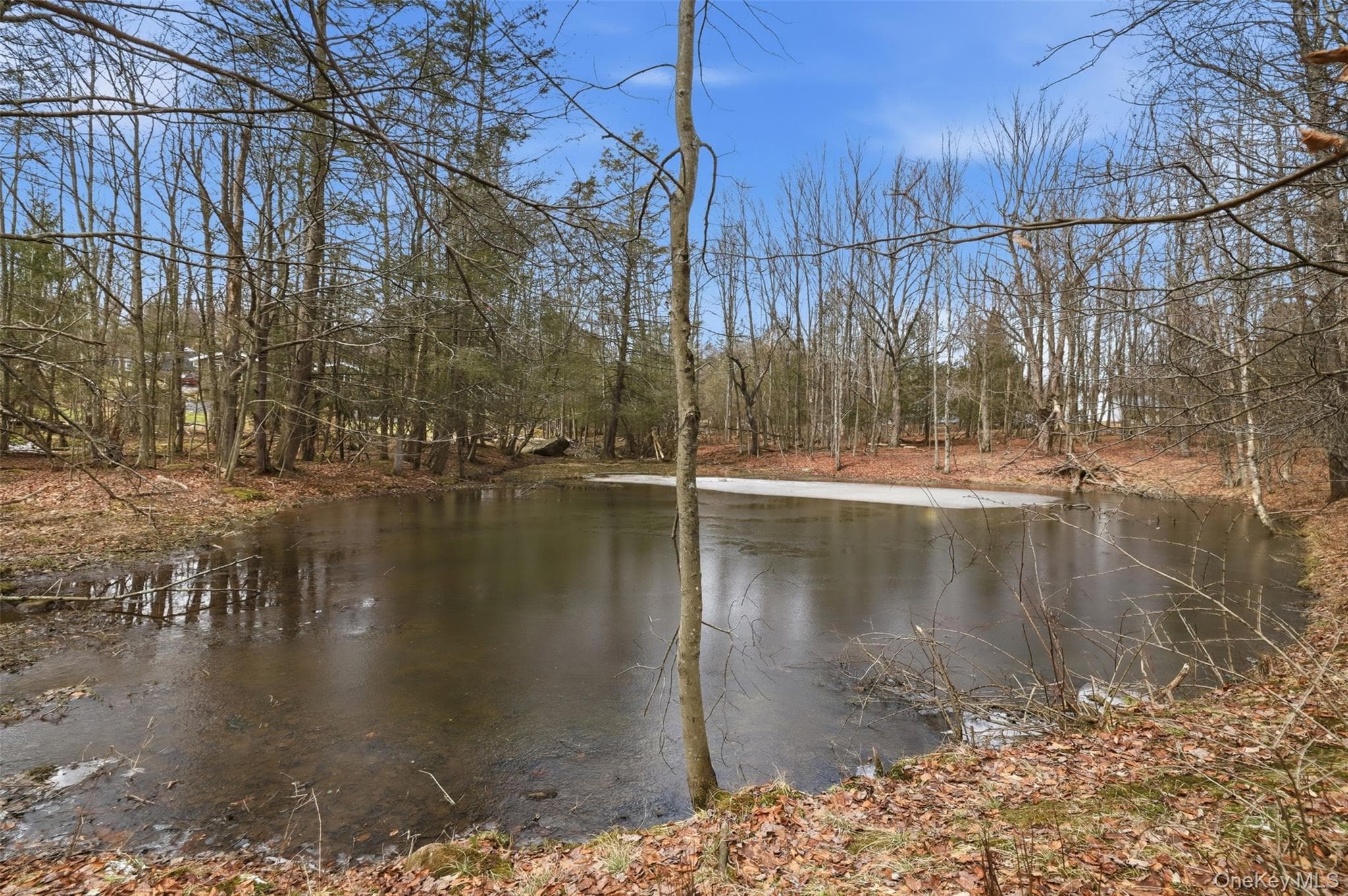 Pond
