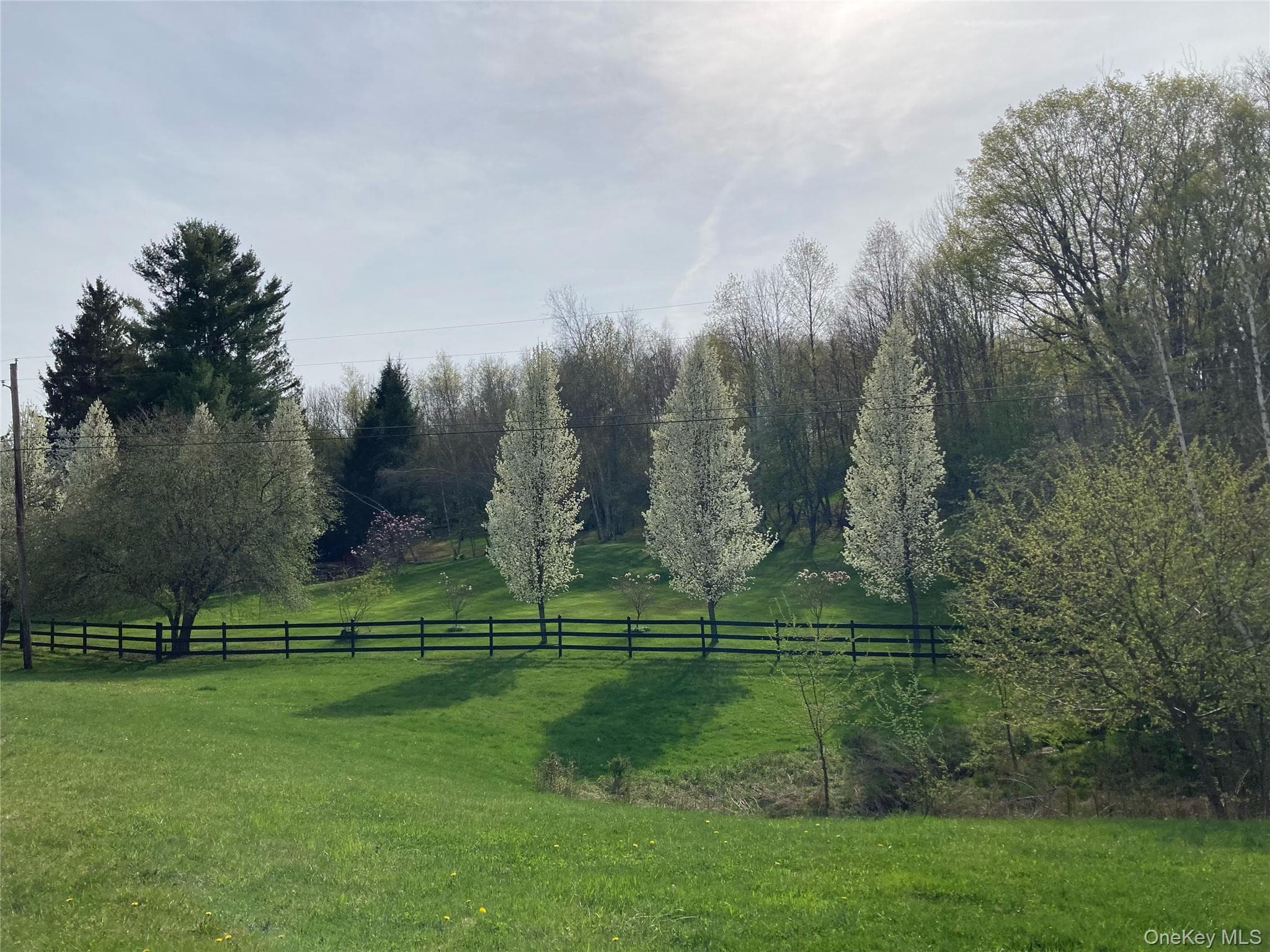 Fence