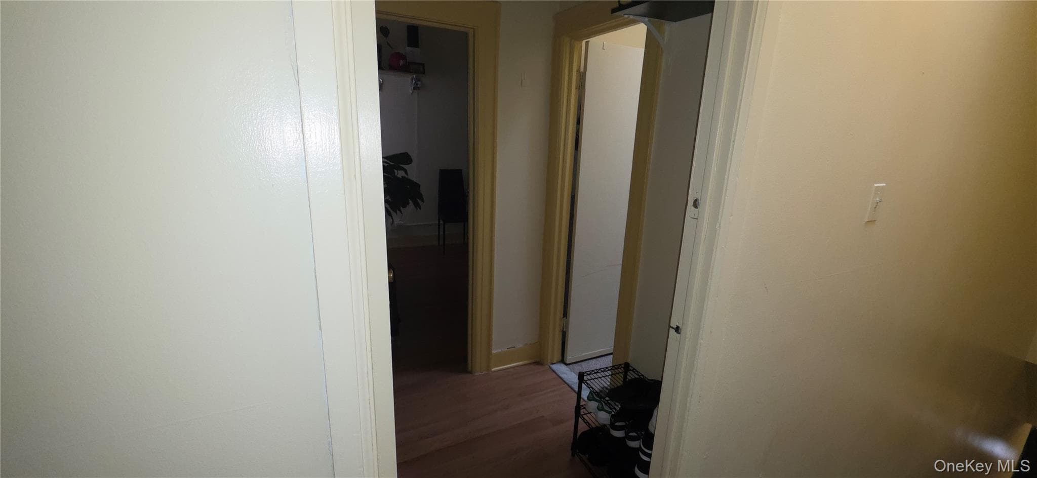 Entrance Foyer