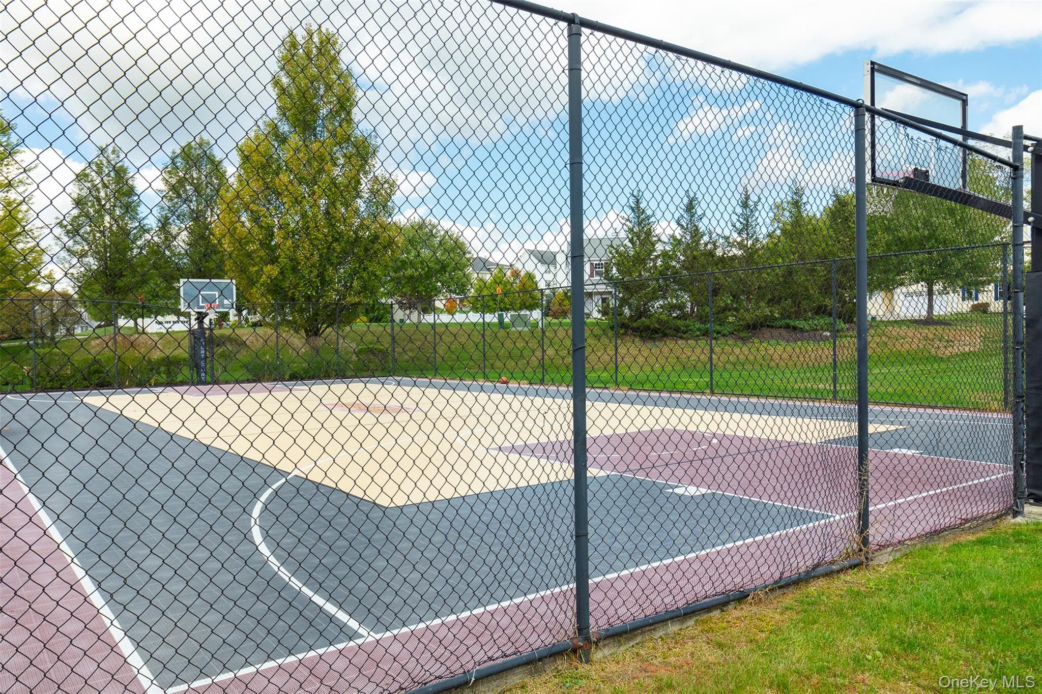 Basketball Court