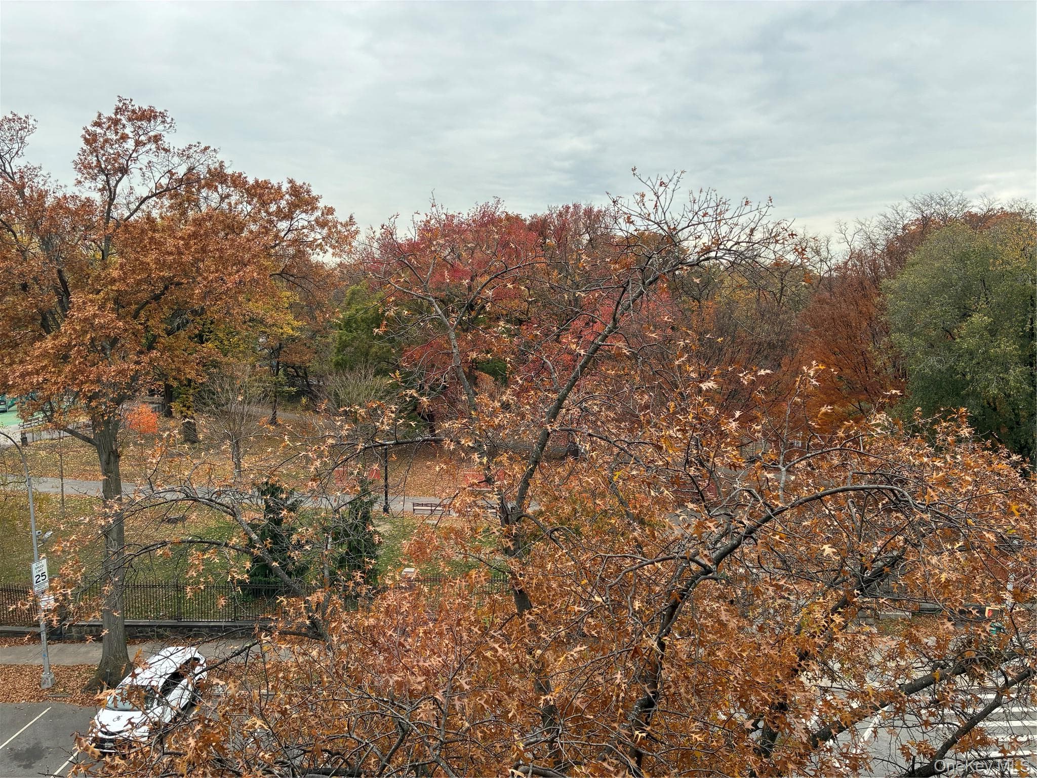 View