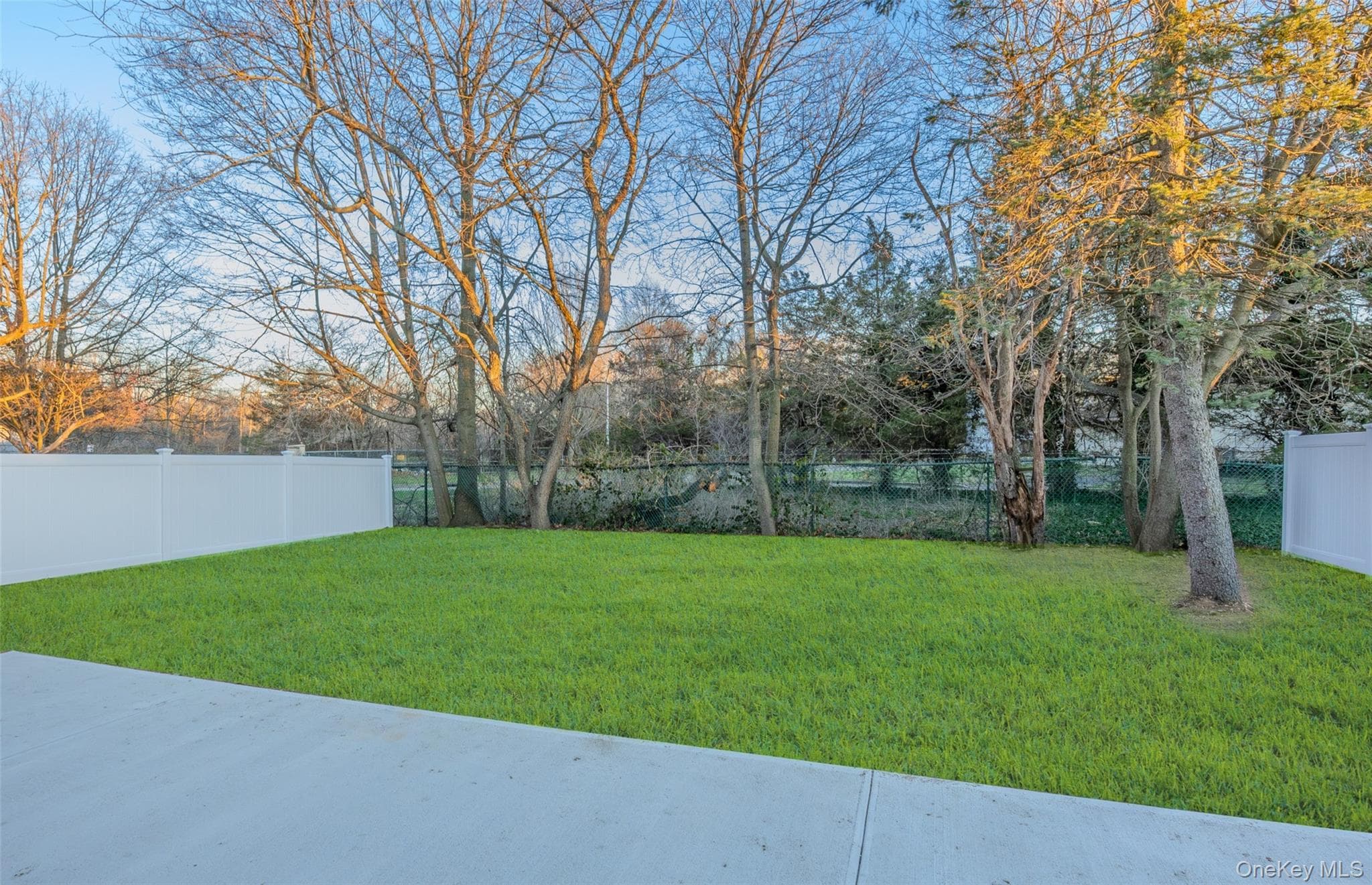 Yard