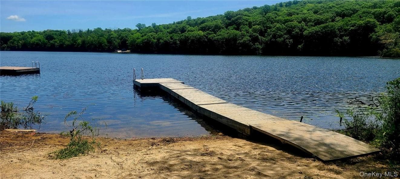 Dock