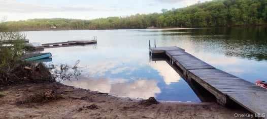 Dock