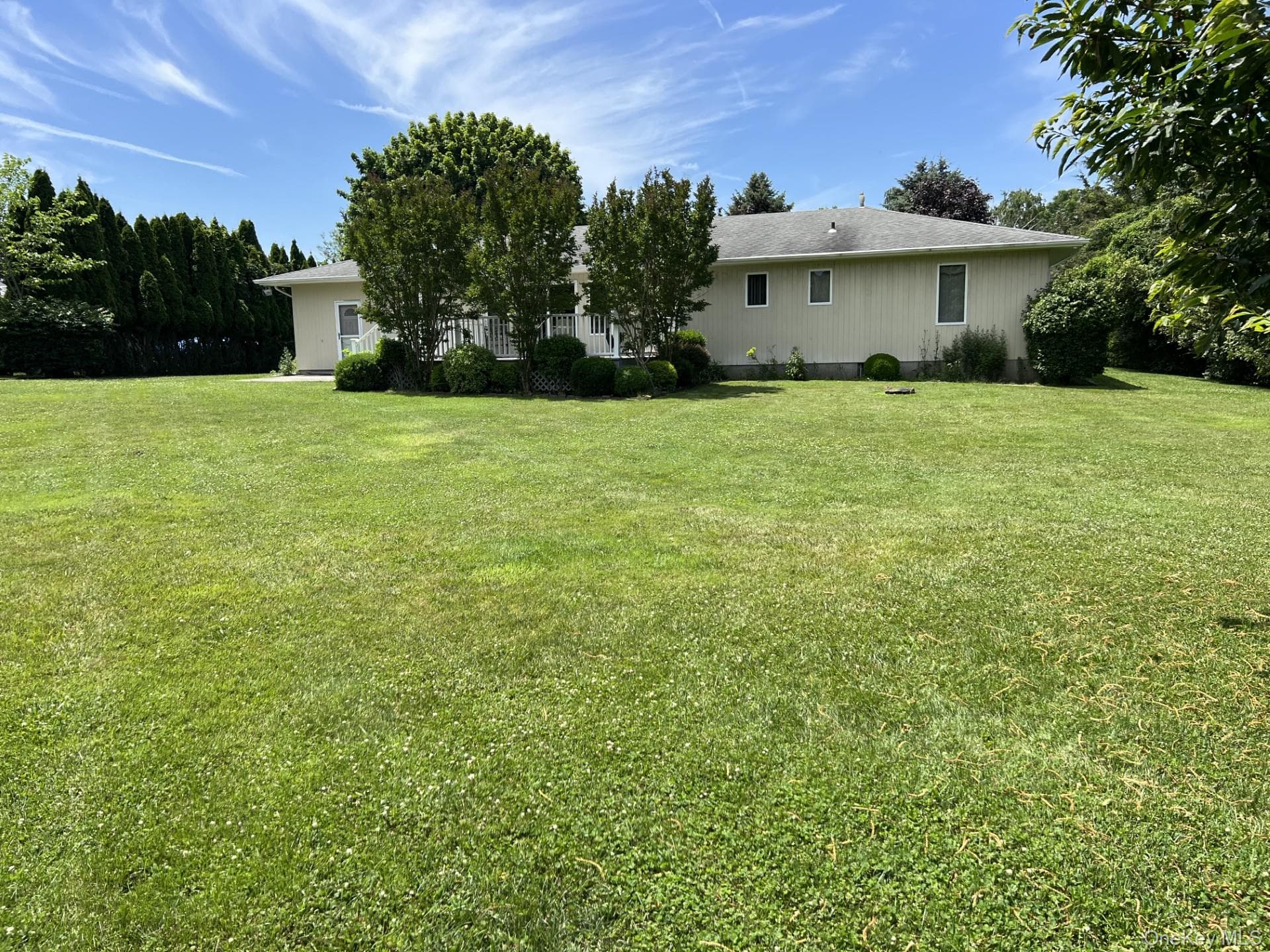 Yard