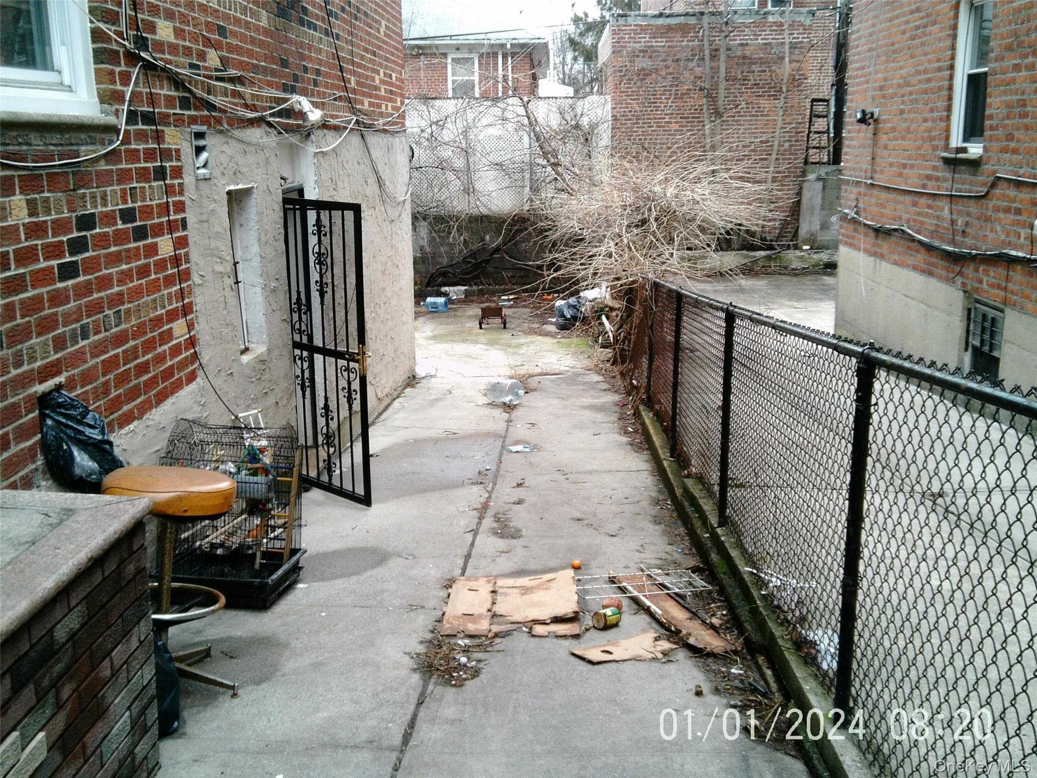 Photo 12
