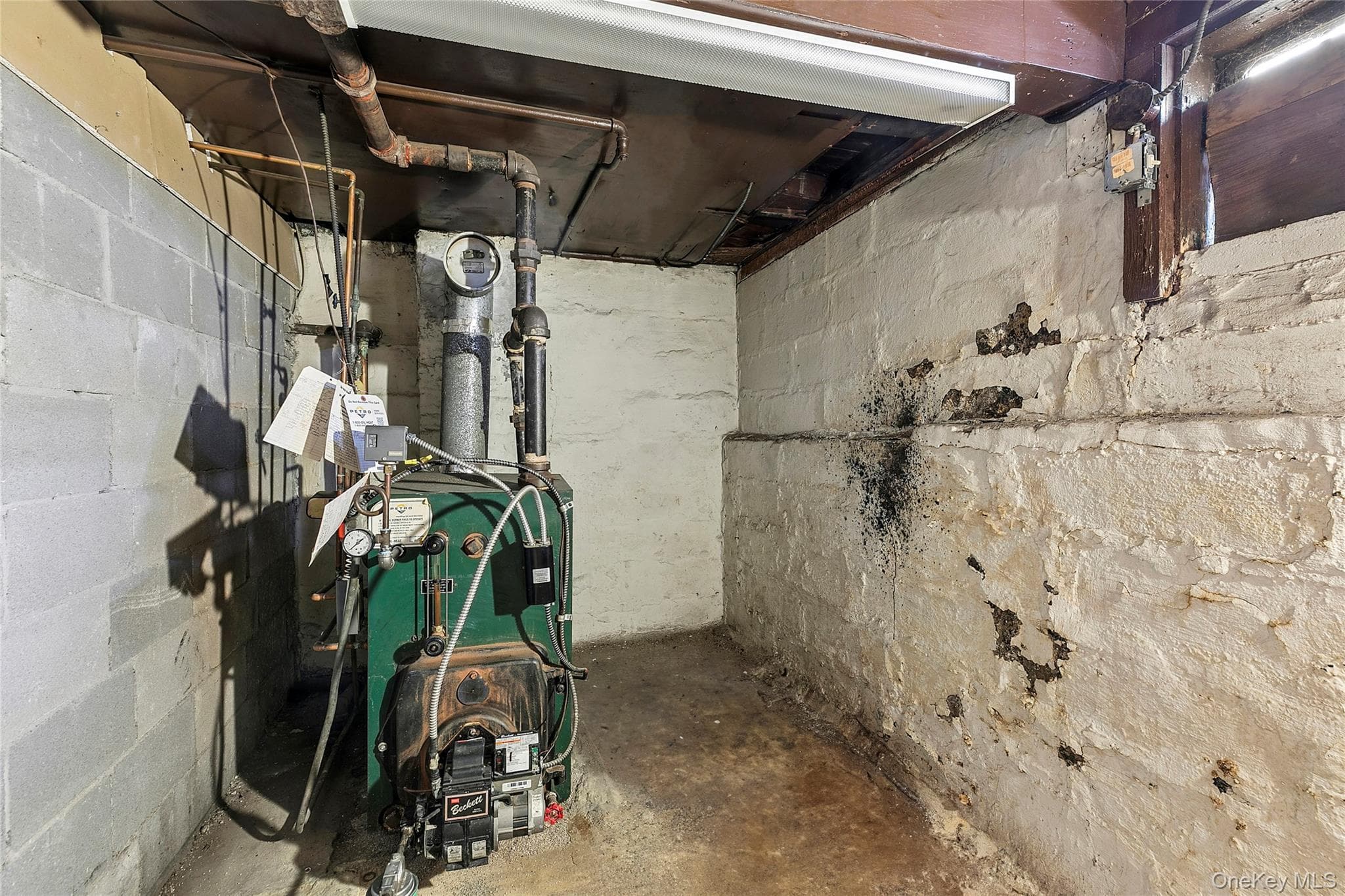 Basement