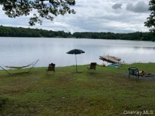 Photo 41