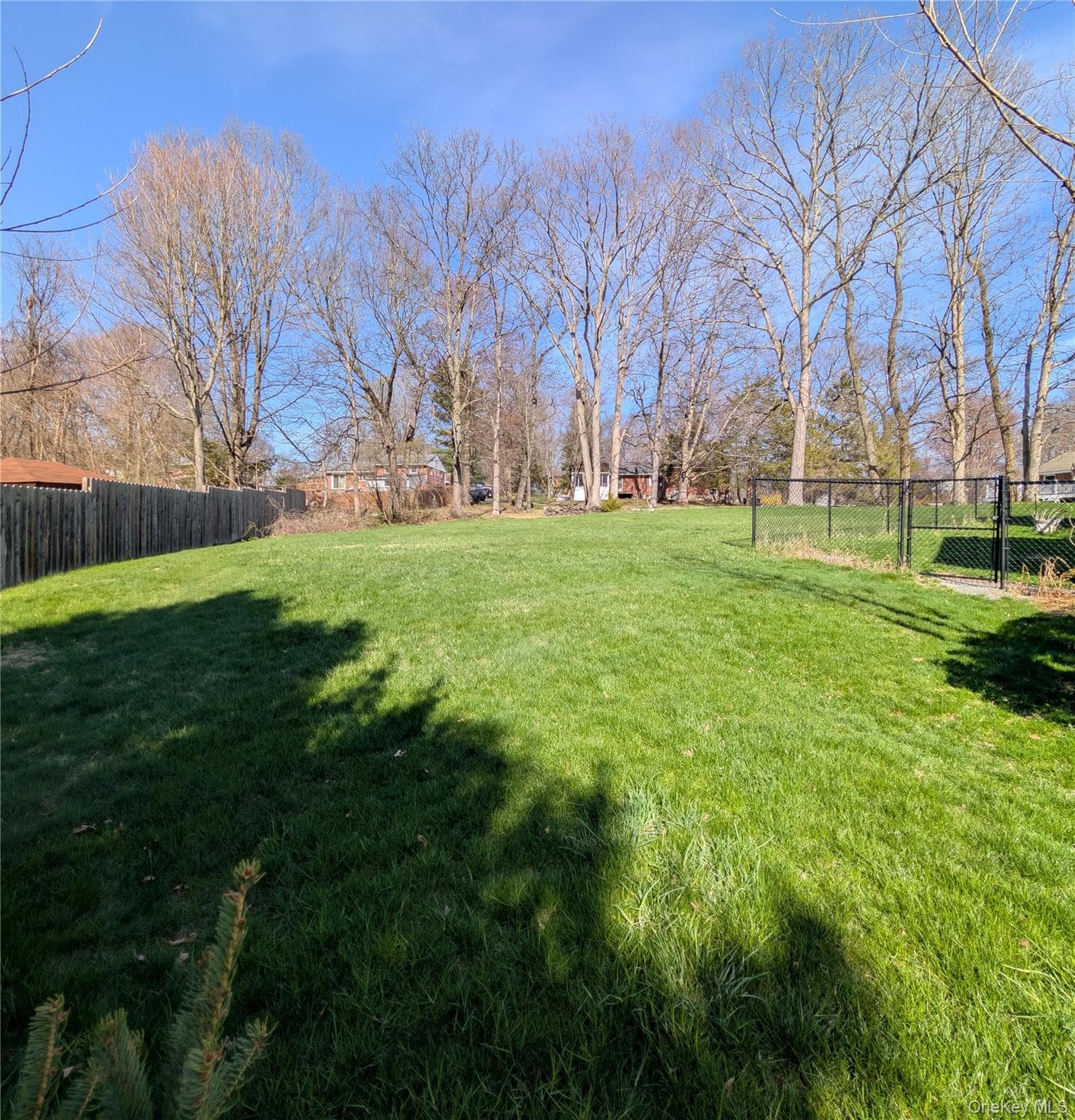Yard