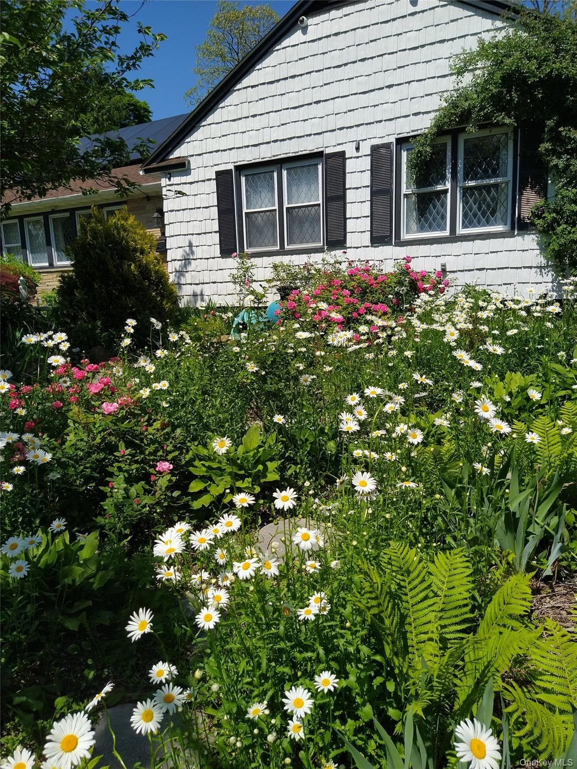 Photo 4