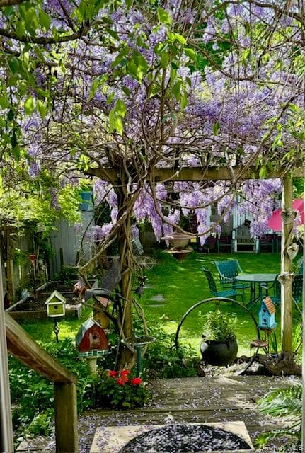 Yard