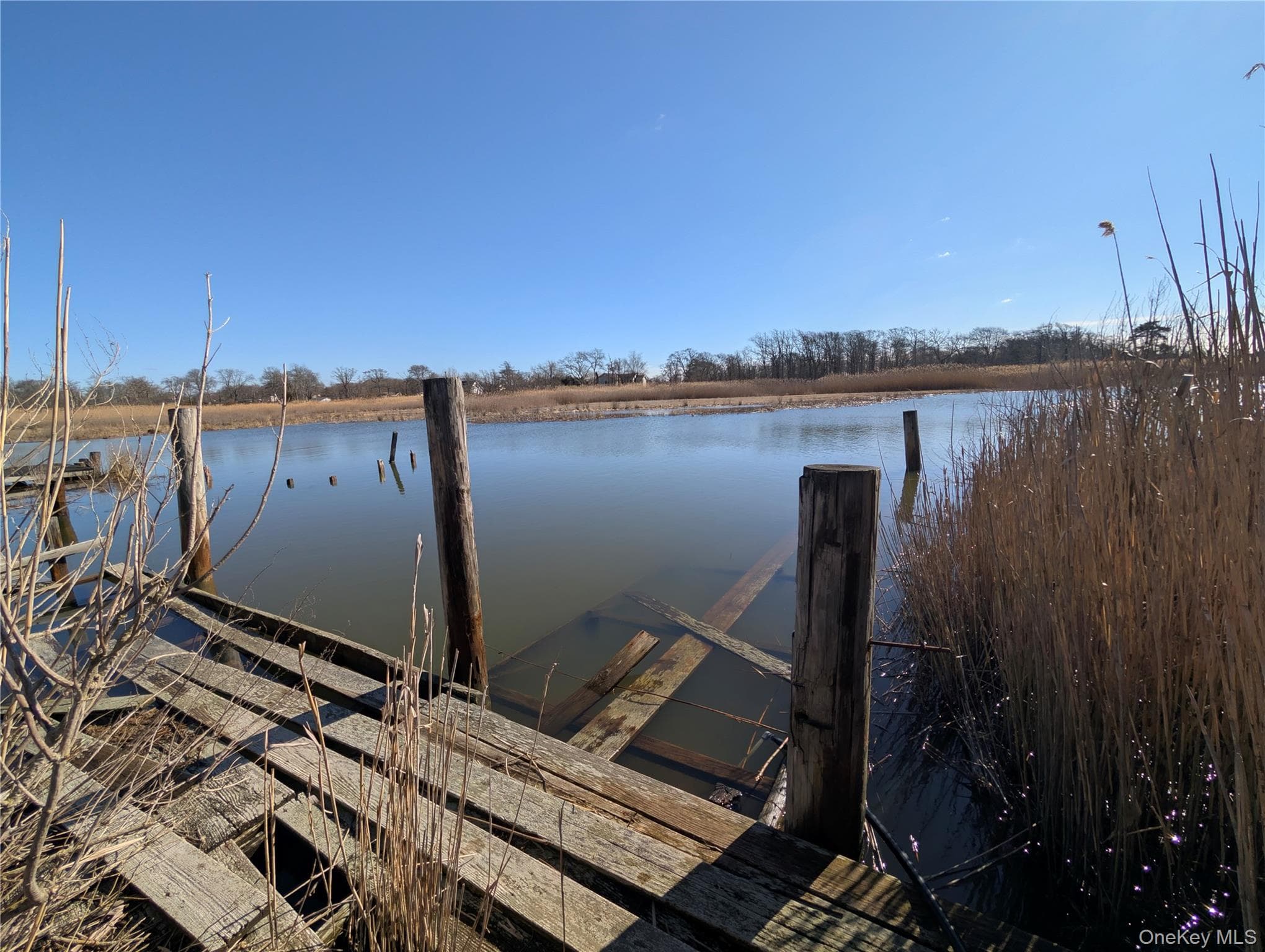 Dock