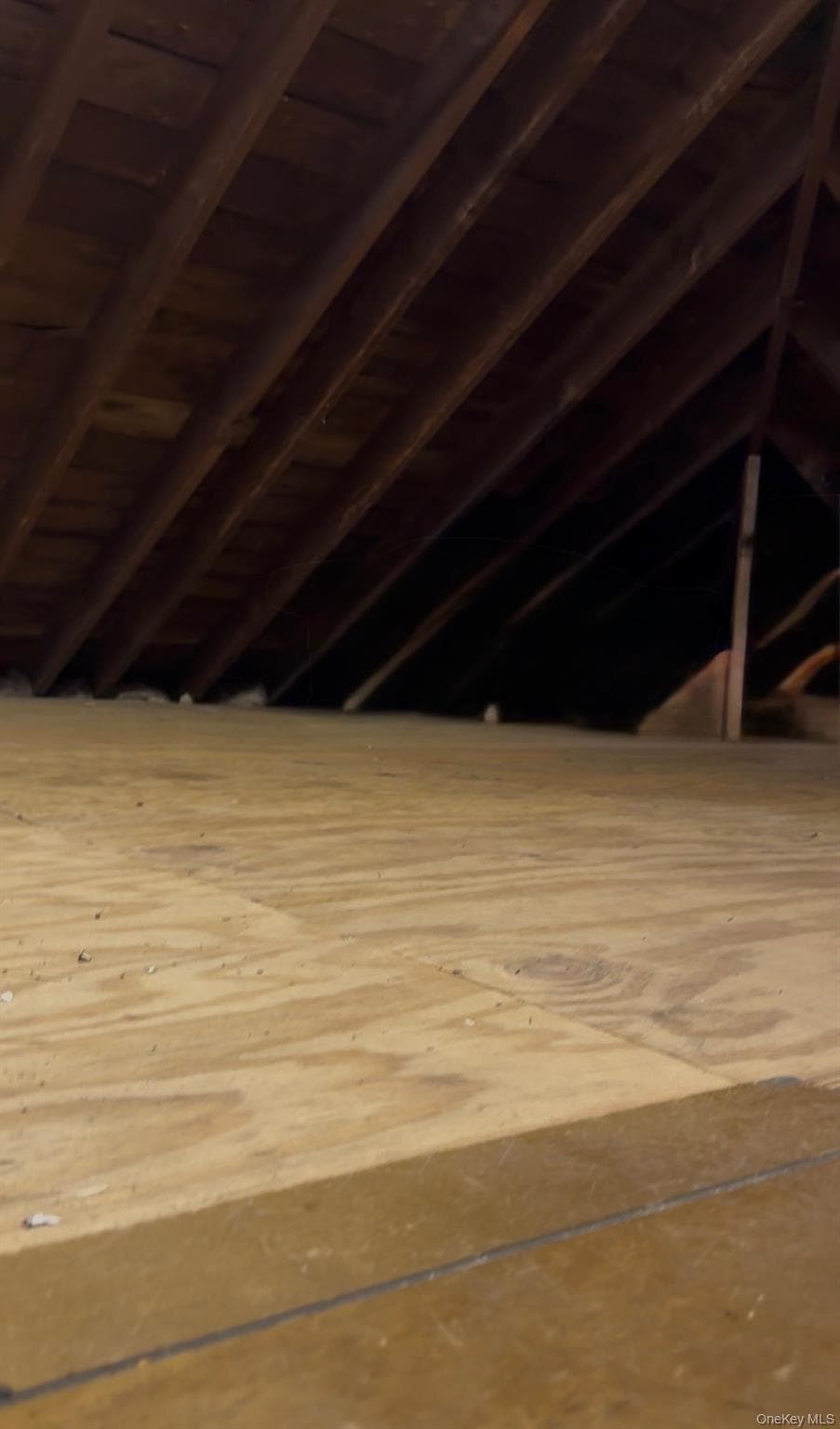 Attic