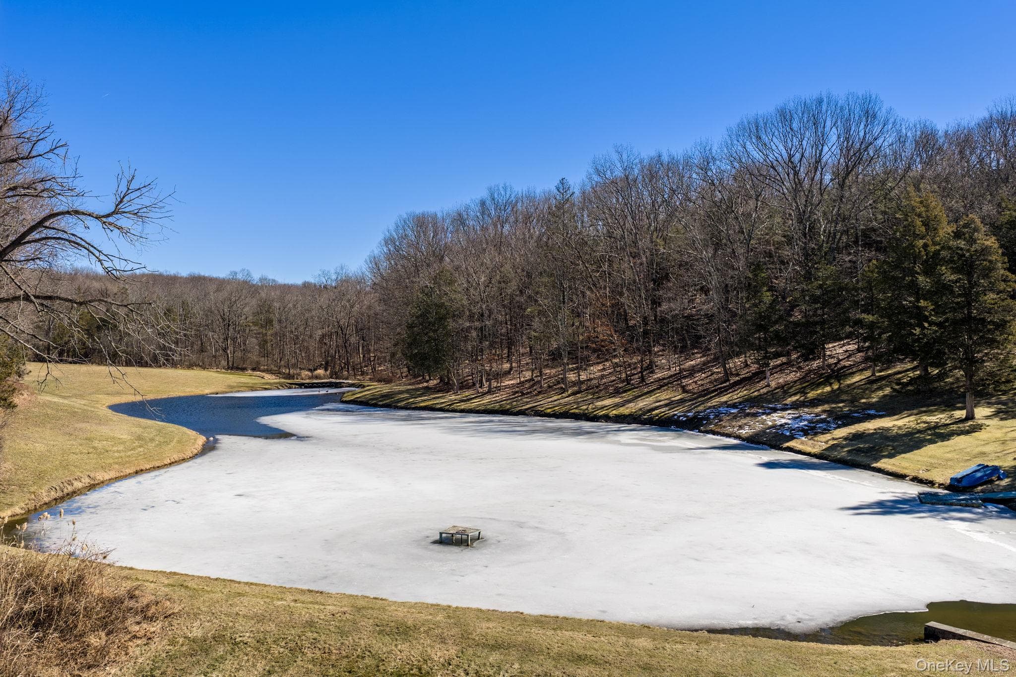 Pond