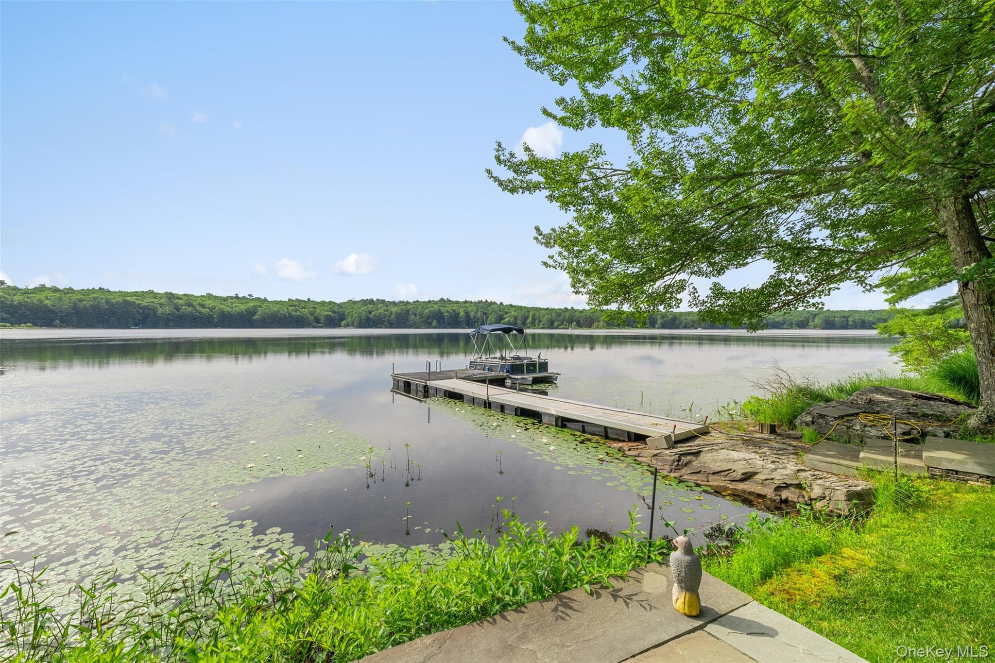 Dock